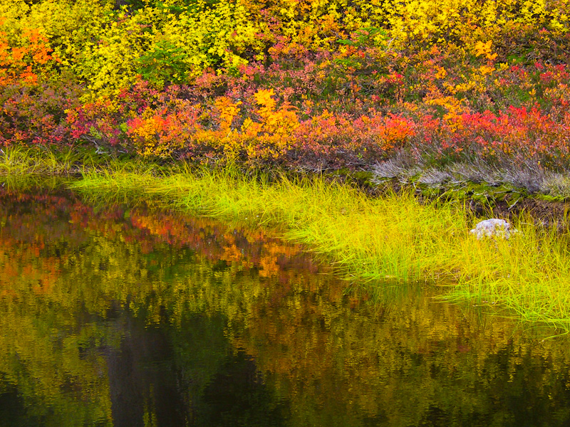 Fall Colors Reflected In Tarn